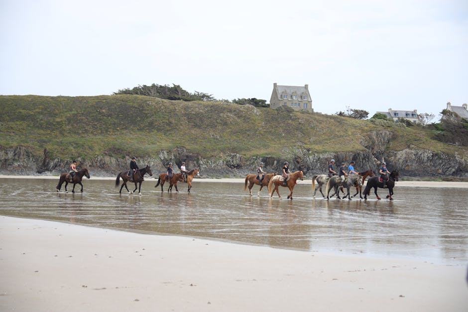 Port de morlaix, Trégor : port du Trégor en Bretagne