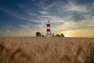 La plomee a guingamp à Guingamp : source sacrée bretonne