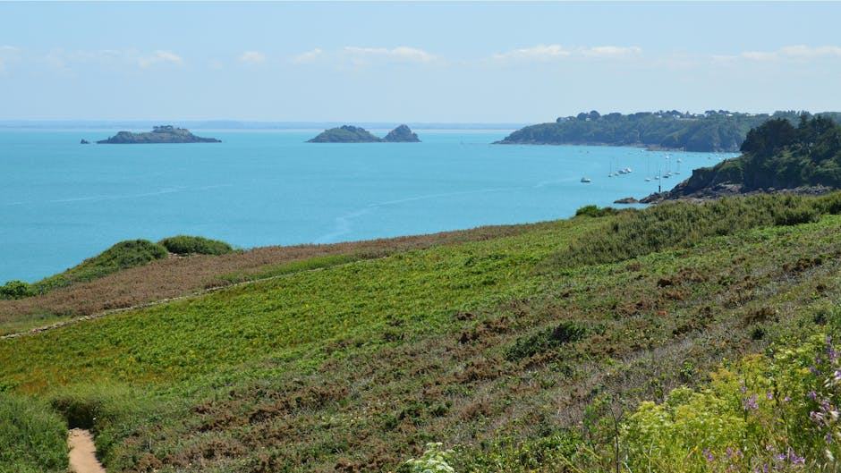 Forêt de beffou à Loguivy Plougras : paysage naturel breton