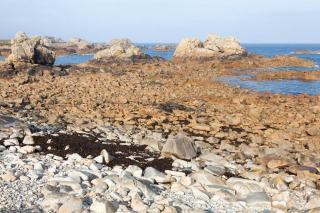 Pointe de beg hastel a plouha à Plouha : site remarquable du T...