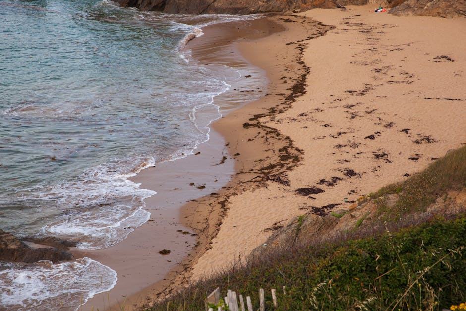 Plage du chatelet à Saint Quay Portrieux : guide plage et baig...