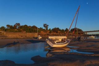 Colombier a begard à Begard : patrimoine et histoire