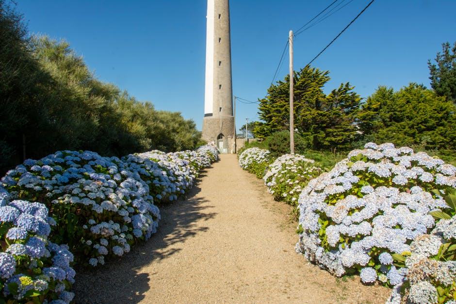 Port lazo à Plouezec en Trégor : guide plage et baignade