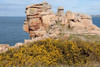 Pointe ar skewell a perros guirec ploumanac h à Perros Guirec ...